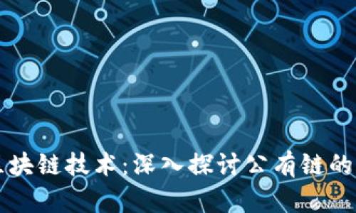 虚拟币与区块链技术：深入探讨公有链的魅力与挑战